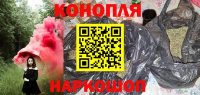 шишки Ставрополь