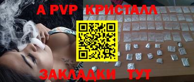 шишки Ставрополь