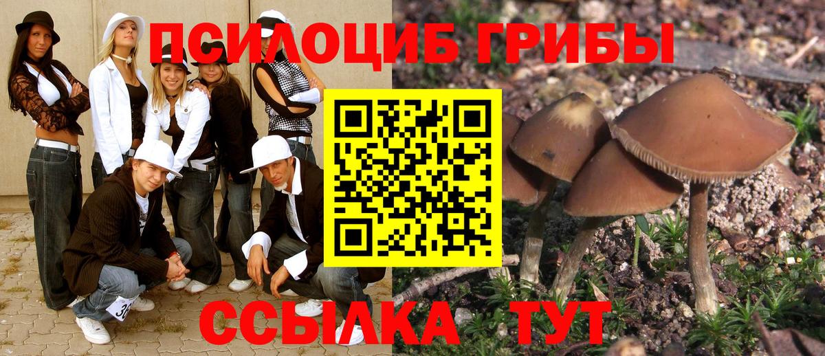 Псилоцибиновые грибы прущие грибы  Галлюциногенные грибы мицелий  Вход с VPN  Нарткала 
