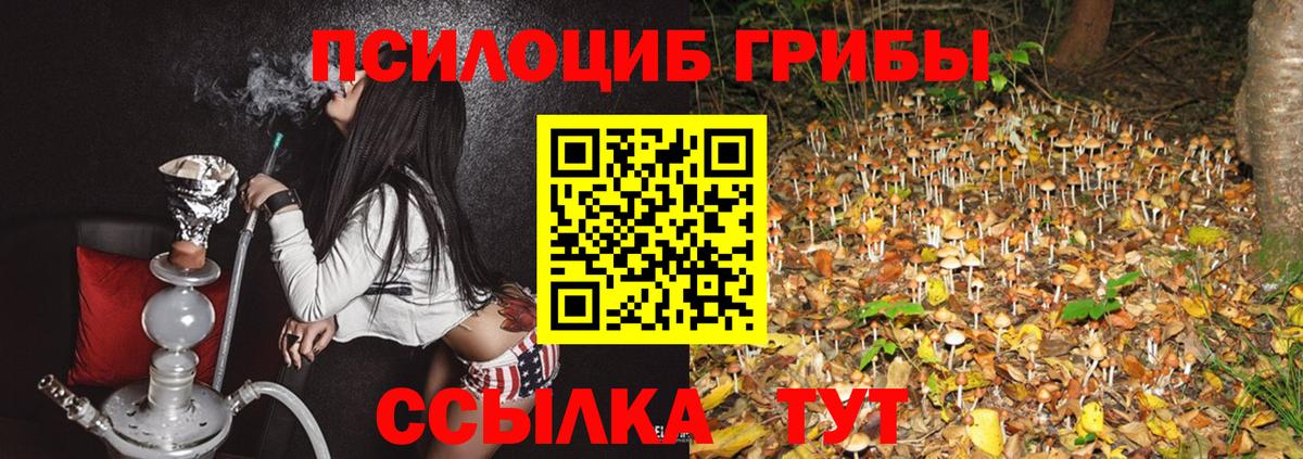 Галлюциногенные грибы Psilocybine cubensis Нарткала
